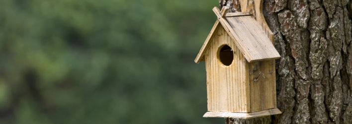 earnshaws fencing centres it s national nest box week earnshaws fencing centres it s national nest box week