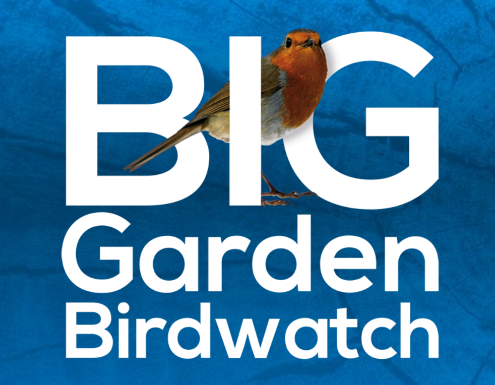 The RSPB Big Garden Birdwatch Weekend Earnshaws Fencing Centres