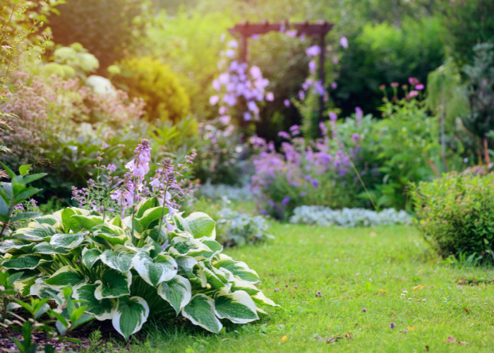 “Give bare root planting a go