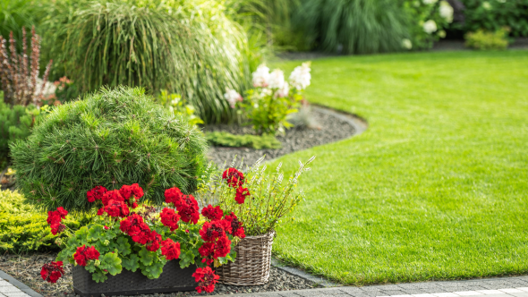 How to Edge a Lawn and Create a Garden Border