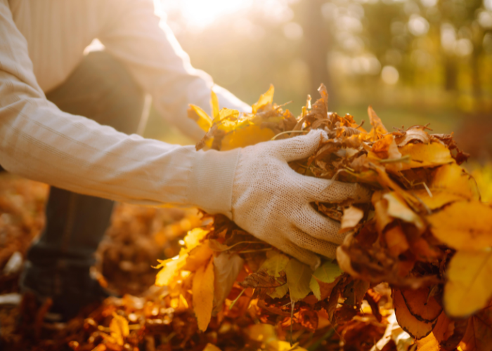 November Garden Checklist